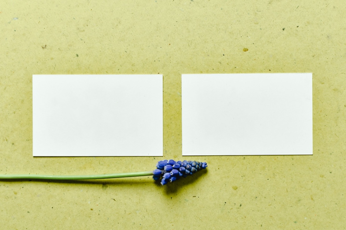 Creative branding and design